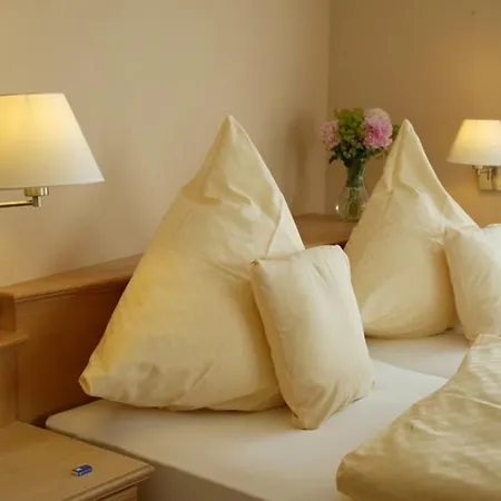 Landgasthof Loewen Guest house 3*